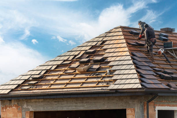Best Skylight Installation and Repair  in Casa Grande, AZ